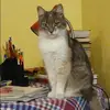 Отзыв от Катюша Муратова